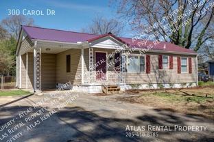 300 Carol Dr - Photo 1 of 1