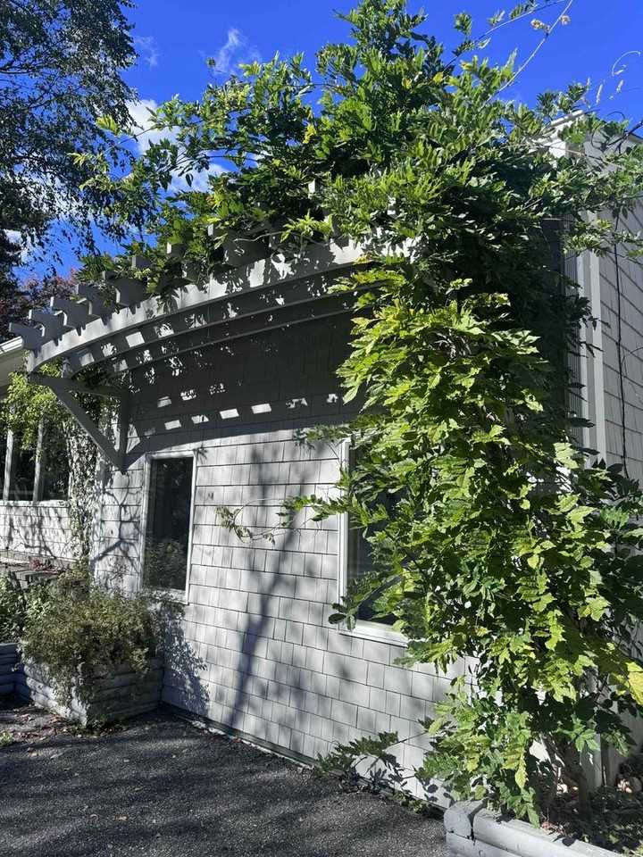 16 Richards Drive - Photo 4 of 50