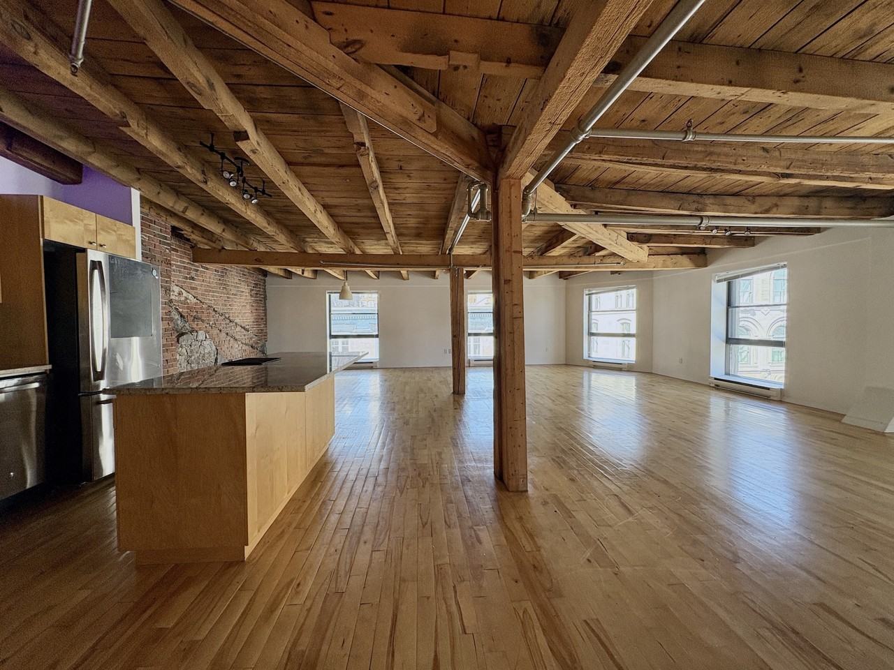 358 Rue Saint-Pierre #3 - Photo 2 of 12