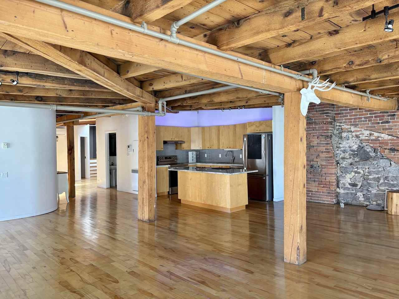 358 Rue Saint-Pierre #3 - Photo 4 of 12