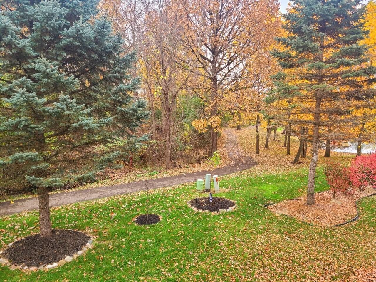 16544 Mulberry Way - Photo 4 of 50