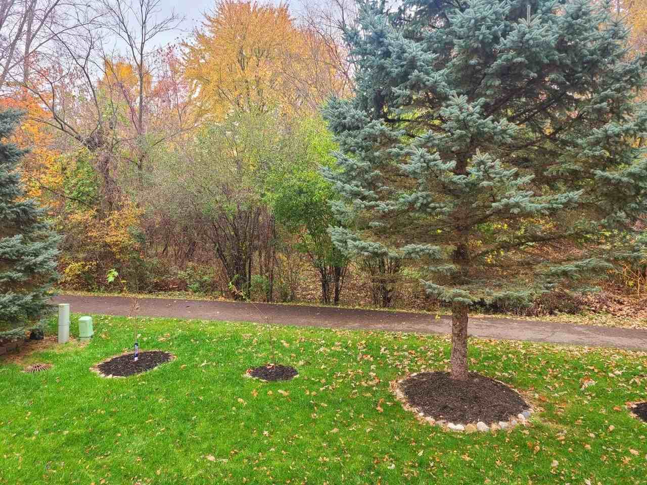 16544 Mulberry Way - Photo 5 of 50