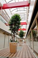 featured image of 110 Campbell Ave Sw #SW203