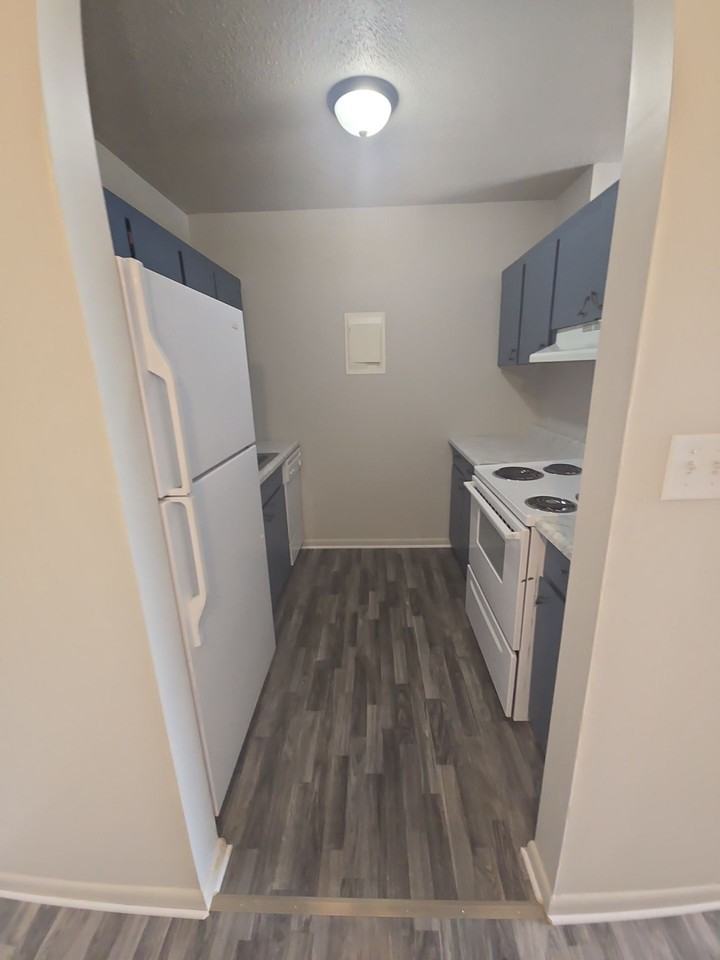 802 Ruth Ann Drive - Photo 3 of 17