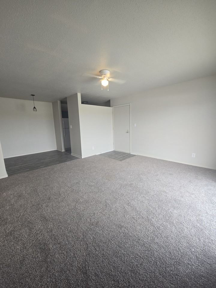 802 Ruth Ann Drive - Photo 4 of 17