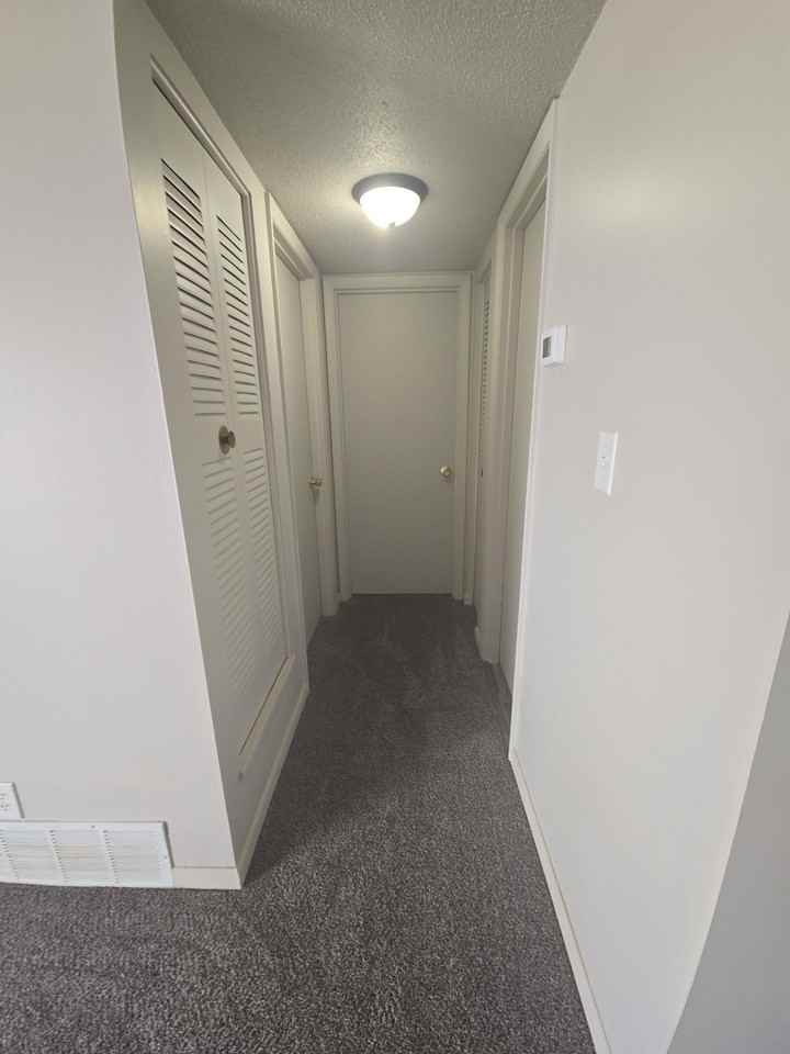 802 Ruth Ann Drive - Photo 5 of 17