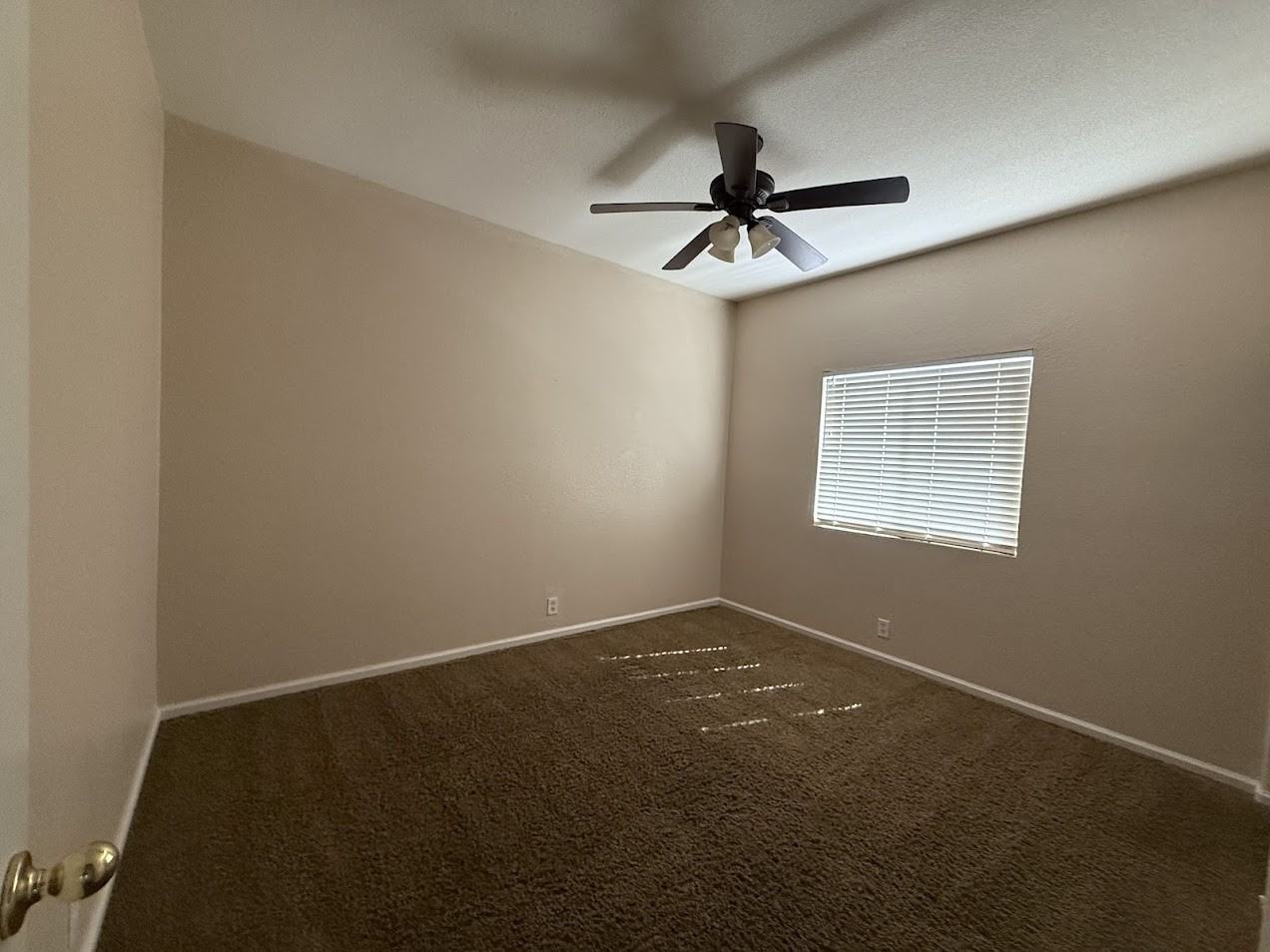 3534 Sarasota Ave #NA - Photo 3 of 8