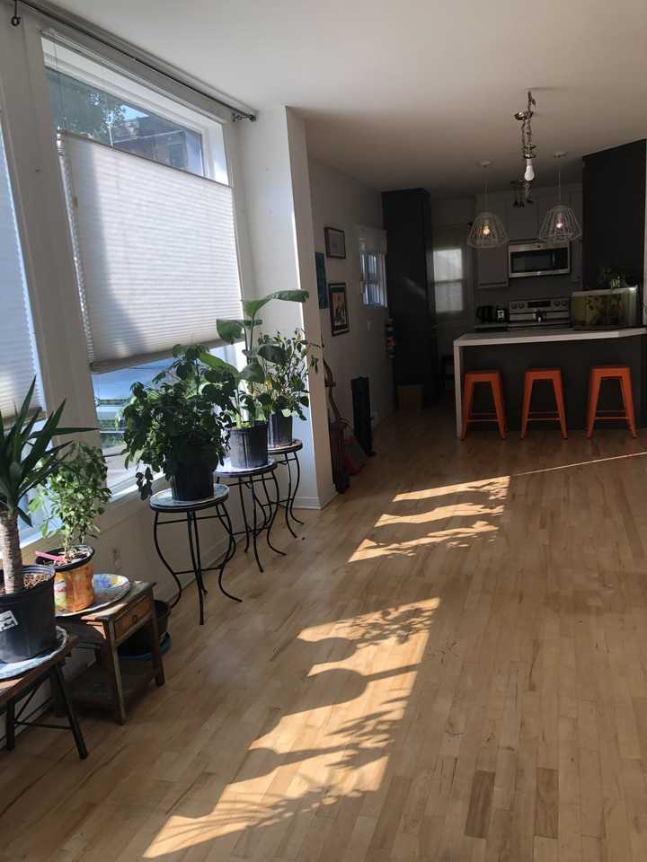 BETTER than Airbnb! / PLUS COOL qu’Airbnb ! (Sherbrooke Metro) - Photo 4 of 5