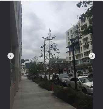 1220 S Olive St #304-308 - Photo 2 of 9