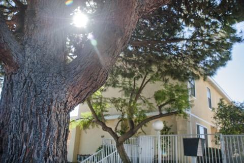 Stepney - Photo 3 of 10