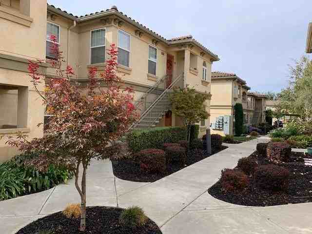 550 Sandy Lane - Photo 7 of 10