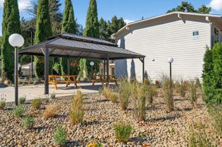 Pine Grove - Photo 1 of 1