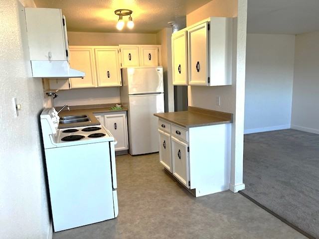 10207 2-10207 Pine Ave W - Photo 2 of 14