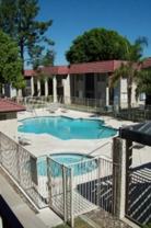 Scene 1 Condos - Photo 1 of 1