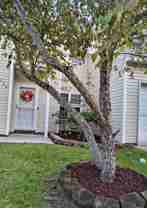 130 Grand Oaks Dr - Photo 1 of 1