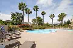 8326 Via Sonoma #62 - Photo 1 of 1