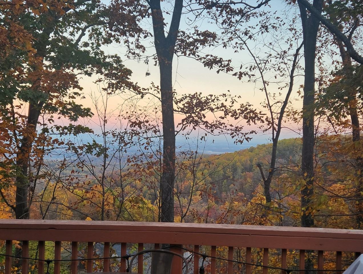 651 Tulip Poplar Dr #NA - Photo 3 of 20