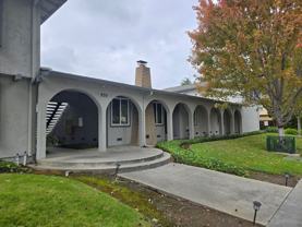 Azure - Photo 1 of 1