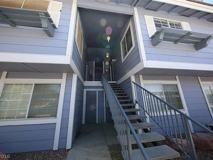 5380 Angler Cir #203 - Photo 1 of 1