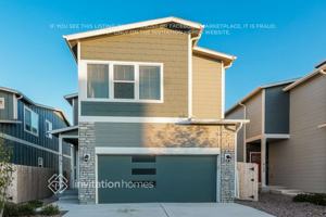 featured image of 6191 Yellowthroat Ter