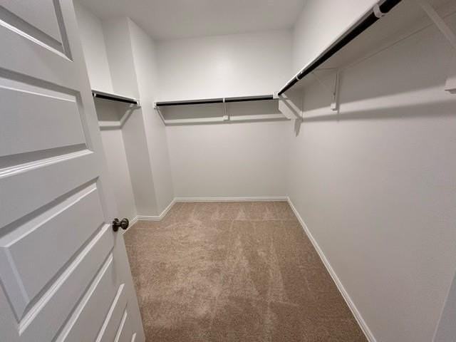 509 Brook View Dr - Photo 4 of 13