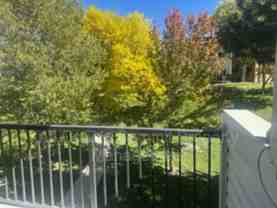 1400 Golden Cir #304 - Photo 1 of 1