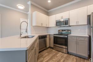 featured image of Fm 1488 Rd #RSMY3