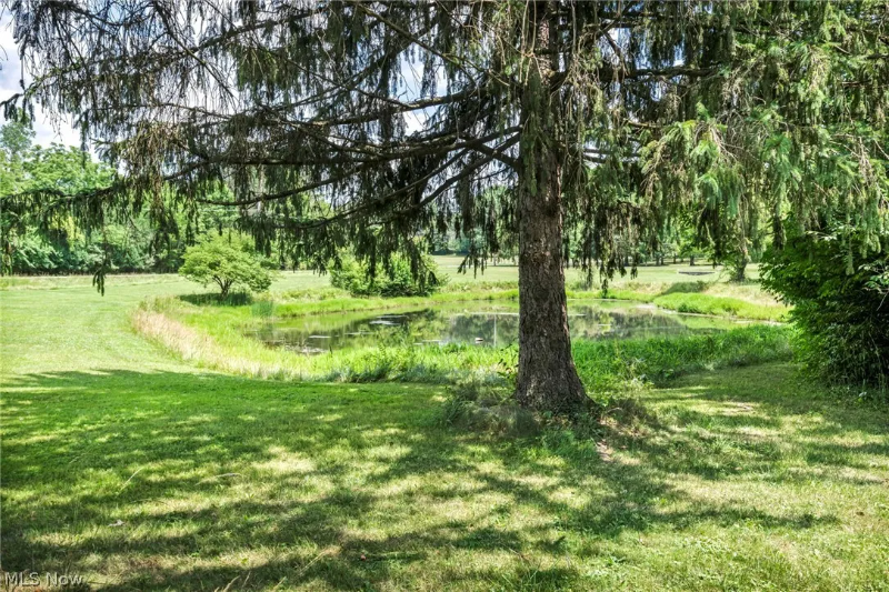 3954 Remsen Rd - Photo 2 of 2