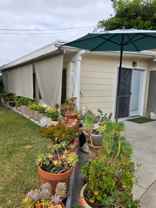 11021 Howard St #B - Photo 1 of 1