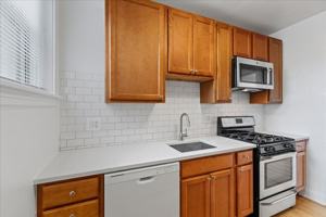 featured image of 1723 W Thorndale Ave #3B