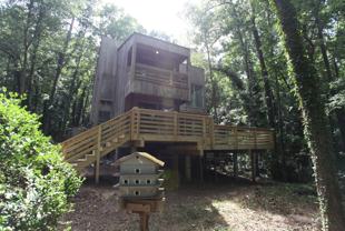 1323 Hickory Ln - Photo 1 of 1