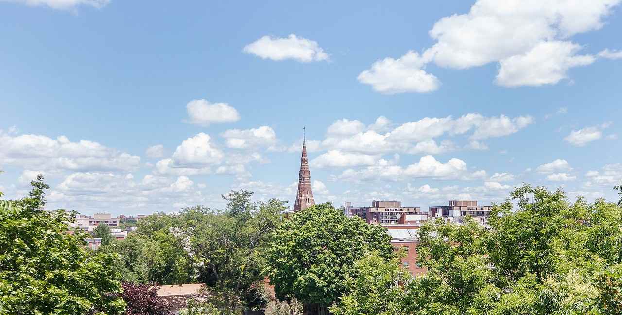 31 Harris St - Photo 4 of 16