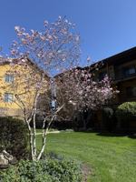 featured image of 4026 Pritchard Dr N #6101