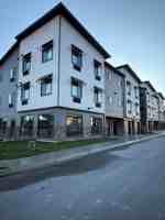 featured image of Wildcat Way