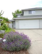 561 Brittni Ln - Photo 1 of 1
