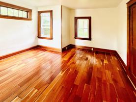 312 Colchester Ave - Photo 1 of 1