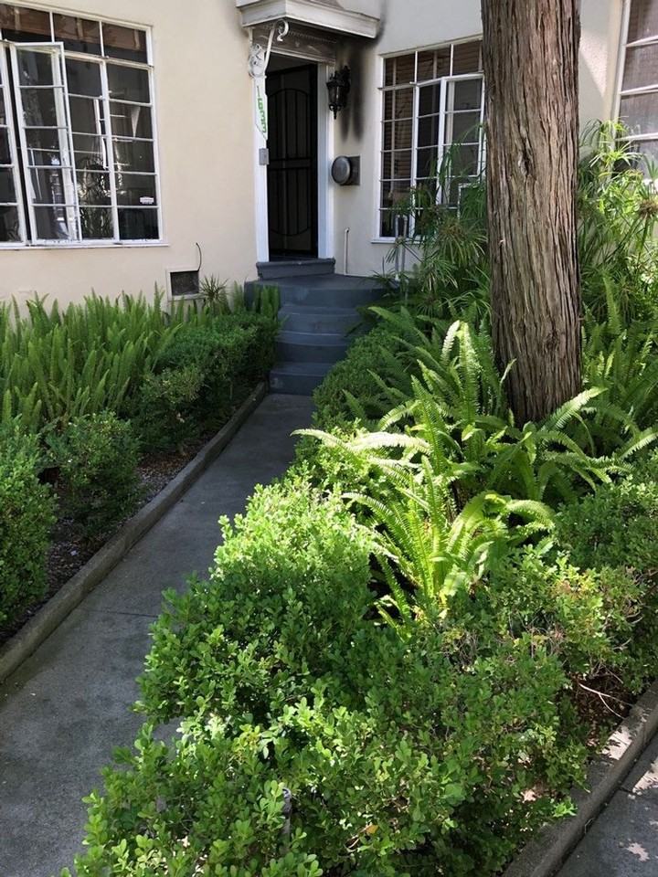 1631 Rodney Drive - Photo 3 of 36