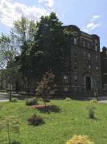 The Rose - Photo 1 of 1