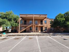 featured image of 251 Desert Rose Ct