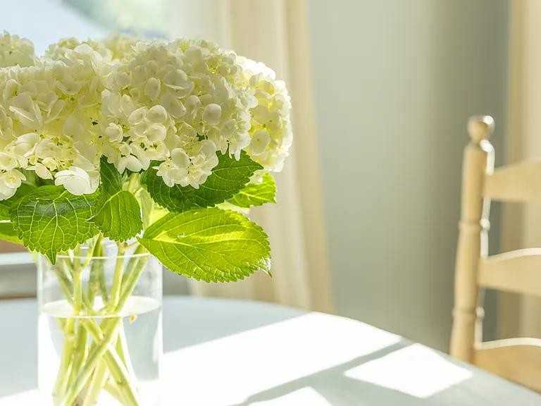 303 Shawnee Trl - Photo 7 of 22