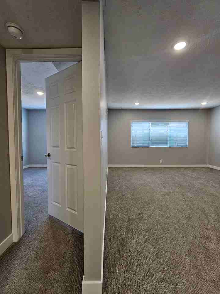 The Belmont Apartments - Photo 7 of 42