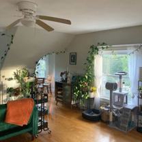 59 Spring St #3 - Photo 1 of 1