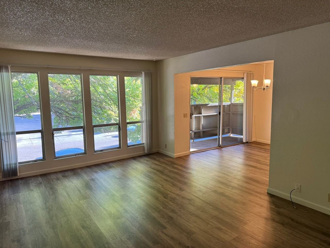 2 Bedroom walking distance to Chico State! - Photo 2 of 7
