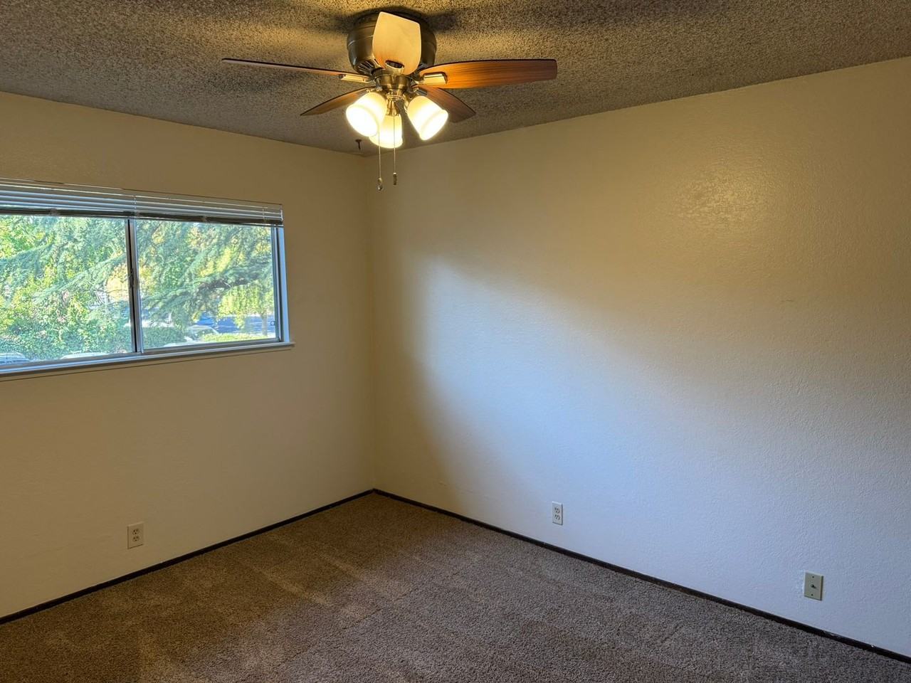 2 Bedroom walking distance to Chico State! - Photo 5 of 7