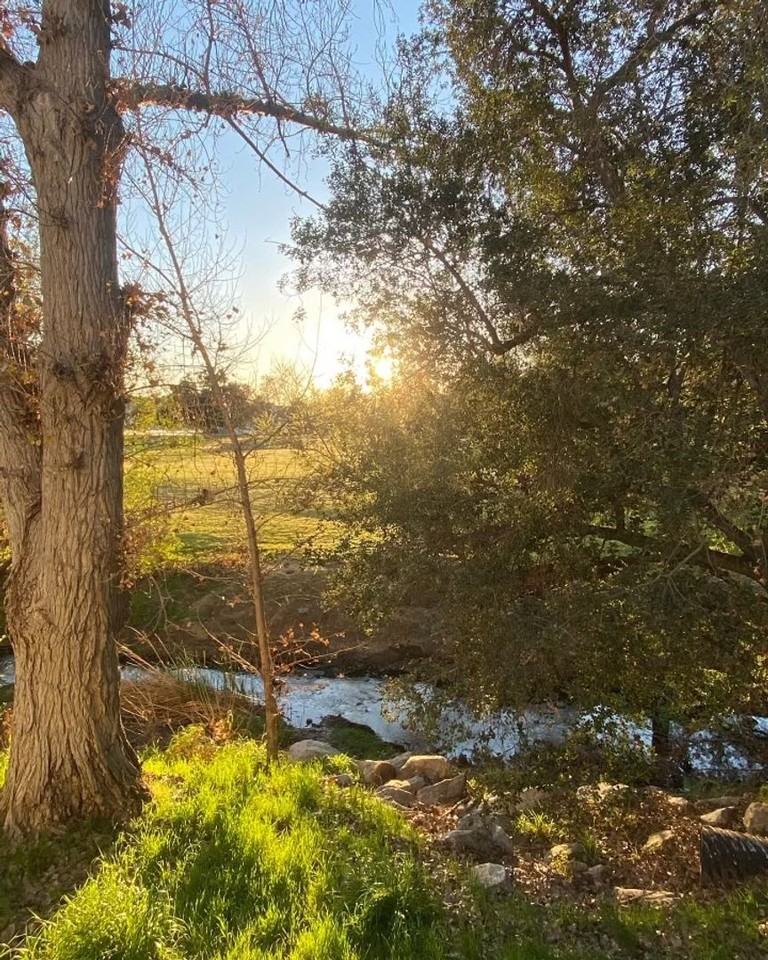 4738 Park Granada #244 - Photo 6 of 14