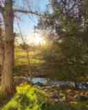 4738 Park Granada #244 - Photo 1 of 1