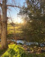 featured image of 4738 Park Granada #244