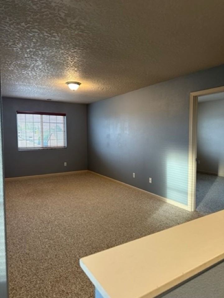 10215 W January Ct - Photo 5 of 15