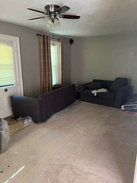 219 South 12th Street - Photo 4 of 10