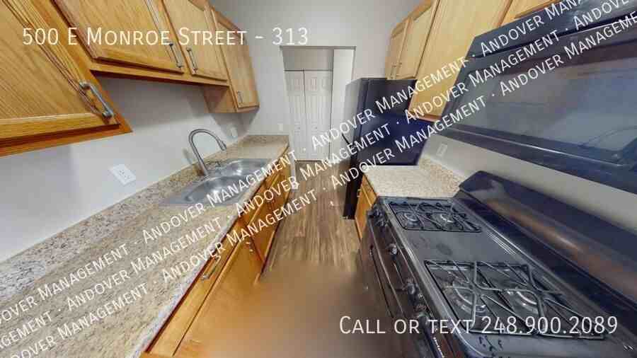 500 East Monroe Street #313 - Photo 3 of 19